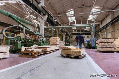 东北人在俄罗斯的木材加工厂做技术员,为了多挣点钱给老婆治病