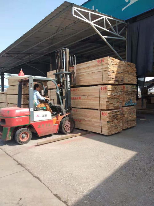 九江进口木材加工厂分析 建筑木方