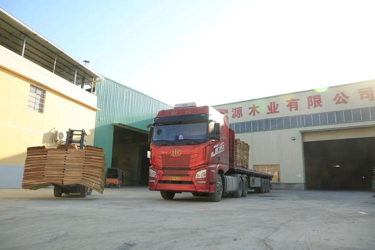 柳城县木材加工产业园马山片区内,只见装满木材和胶水的运输车陆续开